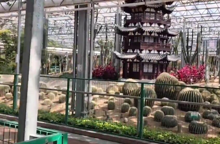 山东潍坊蔬菜高科技示范园景点介绍1