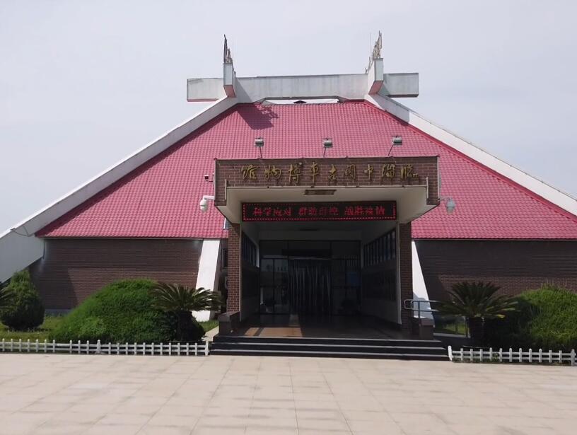 山东淄博中国古车博物馆景点介绍1