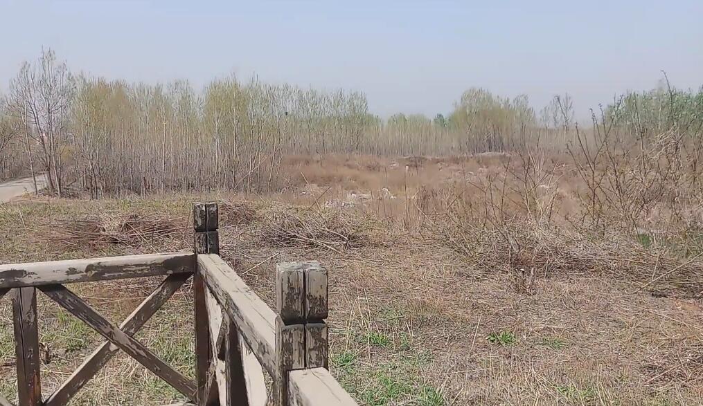 山东淄博山外山滑雪场景点介绍1