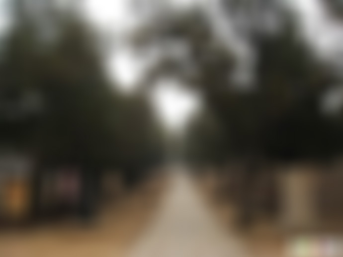 山东济宁孟林景点介绍1