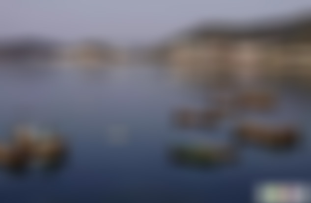 山东青岛鲍鱼岛景点介绍1