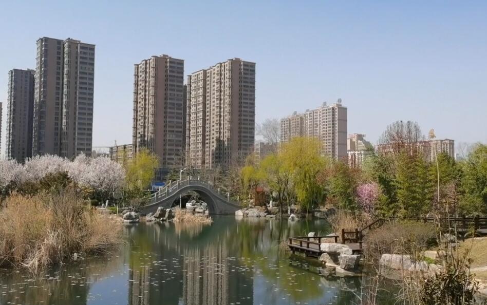 山东德州香海禅林古枣生态园景点介绍1