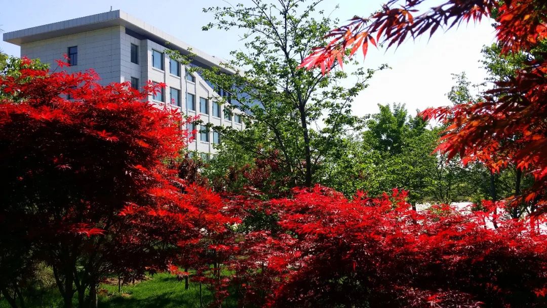 山东烟台濯村特色农业旅游区景点介绍1