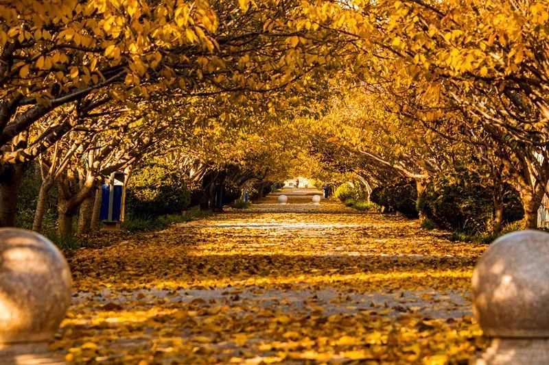 山东烟台濯村特色农业旅游区景点介绍2