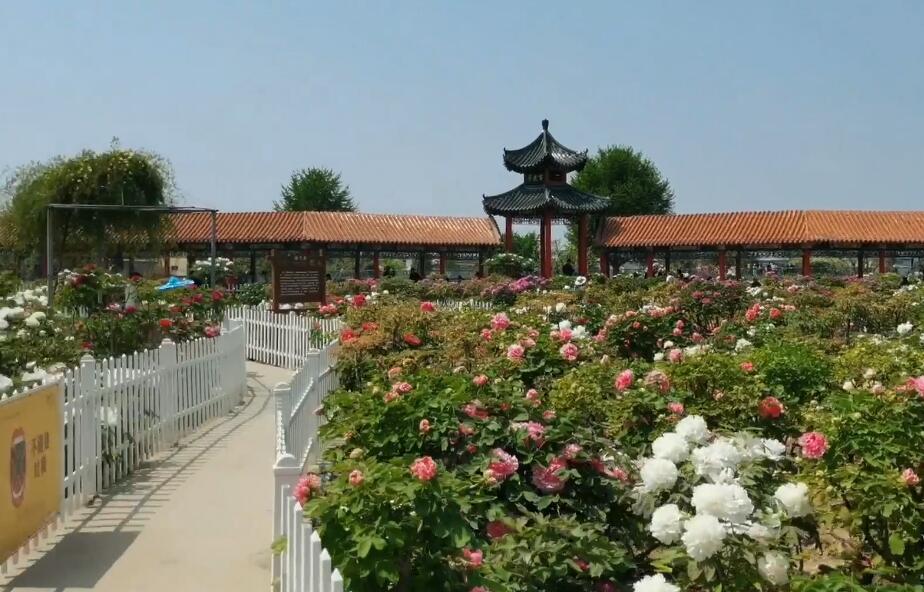 山东菏泽曹州百花园景点介绍1