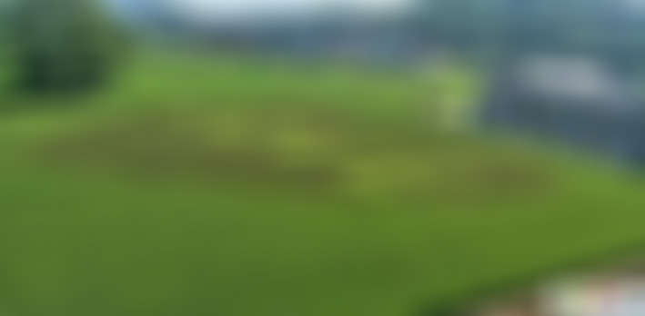 山东济宁金屯湿地庄园景点介绍1