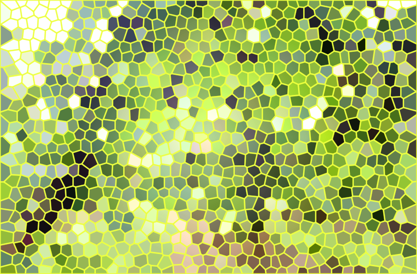 山东济南刁镇农场樱桃园景点介绍1