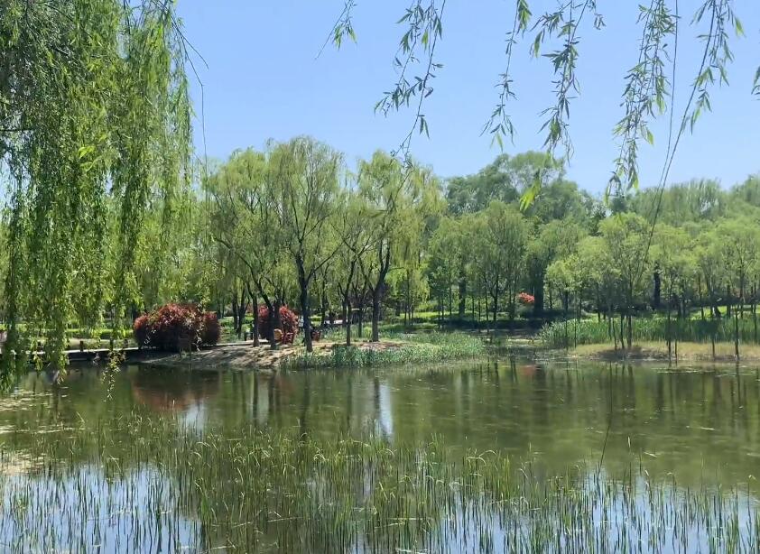 山东济南济南森林公园景点介绍1