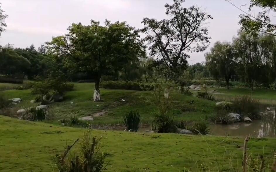 山东潍坊清水河公园景点介绍1