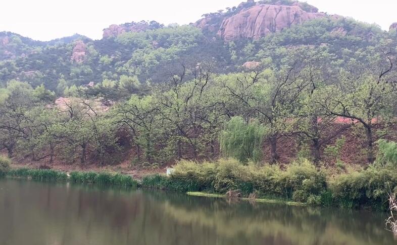 山东淄博票证博物馆景点介绍1