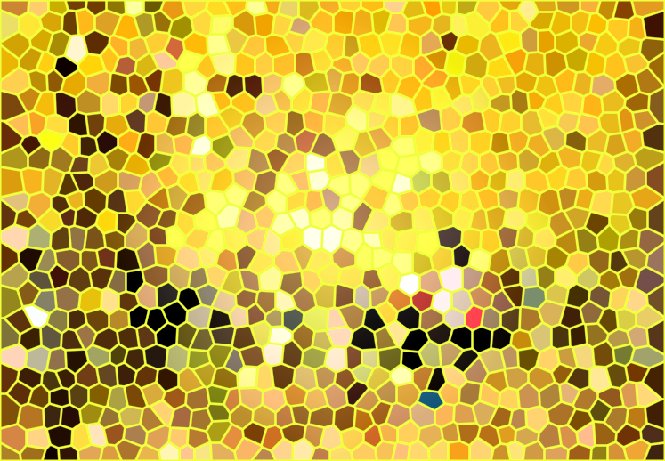 山东济南黄河银杏林景点介绍1