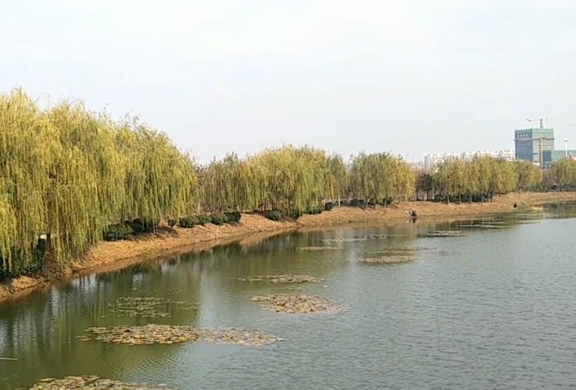 山东日照沭河公园景点介绍1