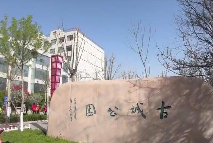 山东滨州古城公园景点介绍1