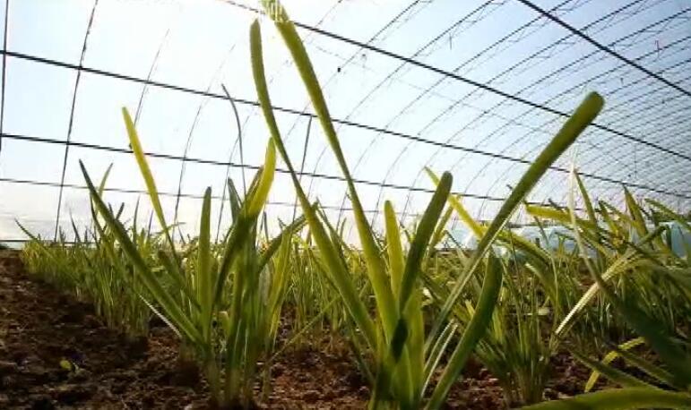 山东淄博中国课本博物馆景点介绍1