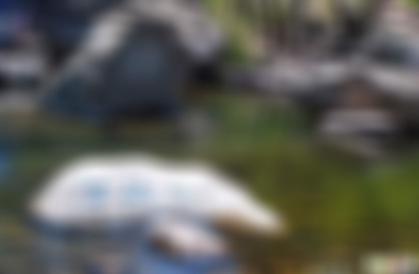 山东烟台牙山森林公园景点介绍1