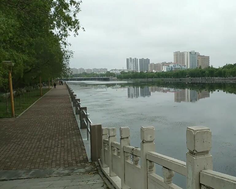 山东东营黄河口湿地博物馆景点介绍1