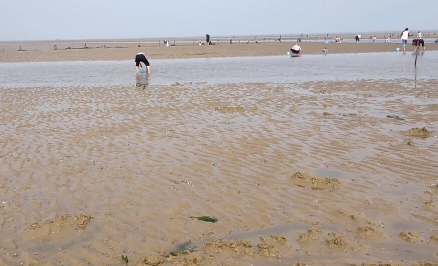 山东烟台林山滑雪场景点介绍1