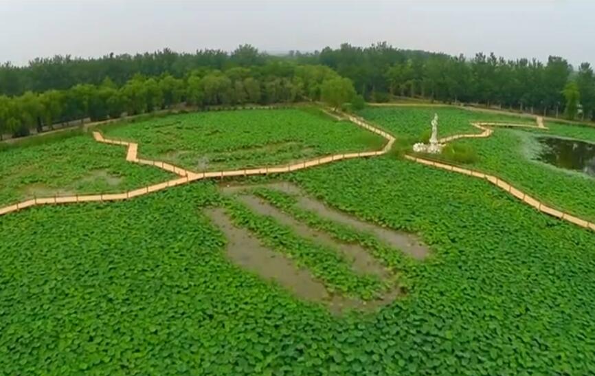 山东潍坊林海生态博览园景点介绍1