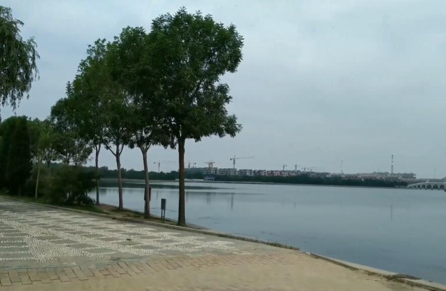 山东东营民丰湖景点介绍1