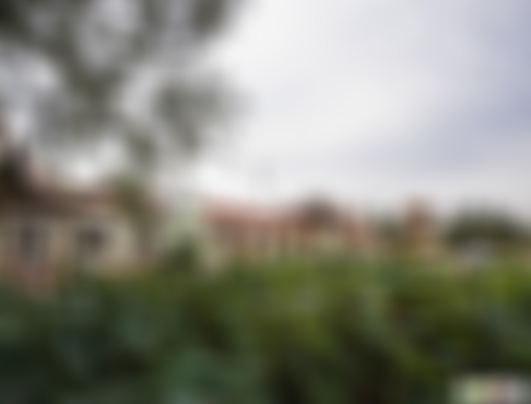 山东聊城金丝楠木博物馆景点介绍1