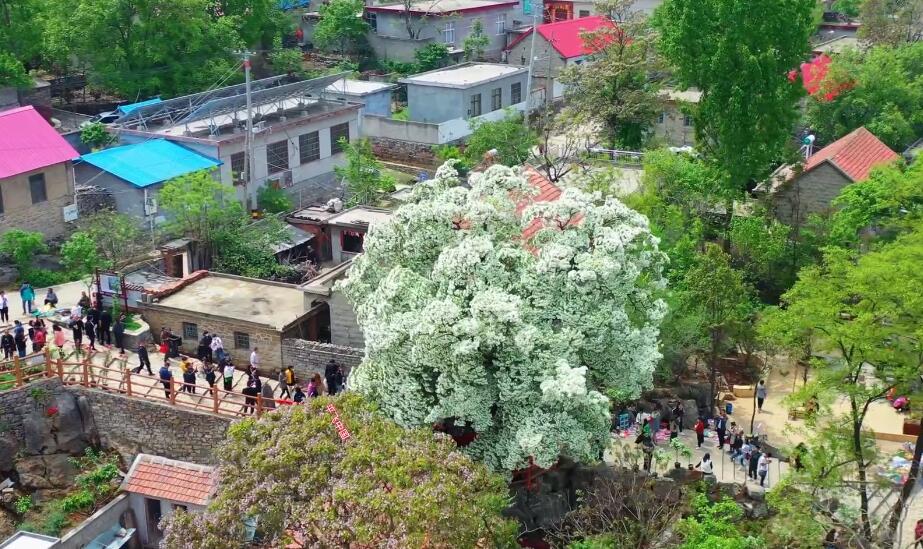 山东日照金沙岛国际海滨浴场景点介绍1