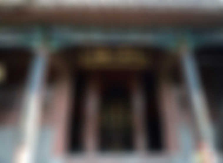 山东菏泽仿山恐龙园景点介绍1