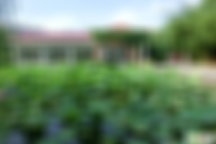 山东临沂香山枫谷旅游区景点介绍1