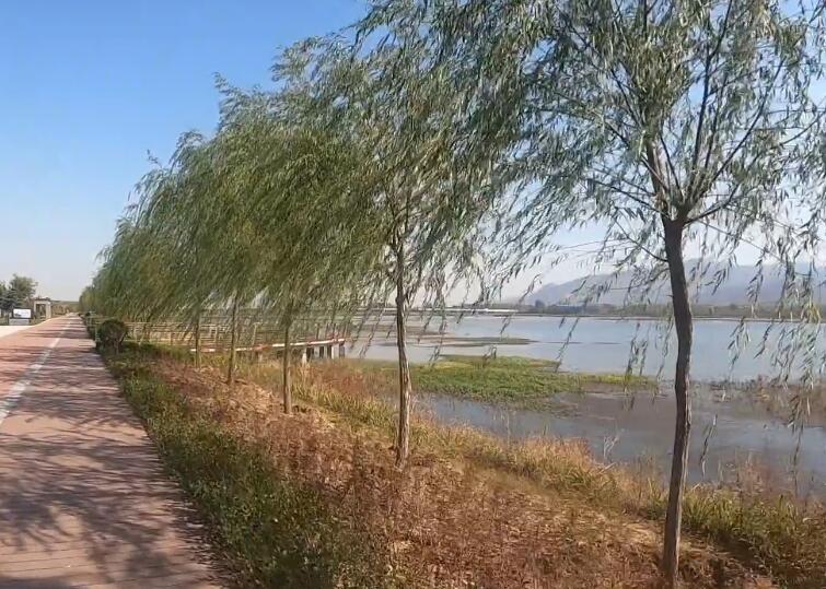 山东青岛鲁邦国际风情街景点介绍1