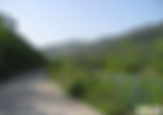 山东潍坊崇山石祖林景点介绍1