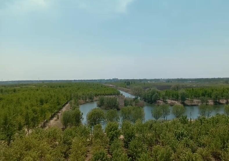 山东日照岚山文化服务中心景点介绍1