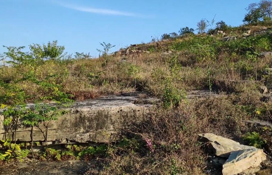 山东潍坊巨淀湖湿地公园景点介绍1