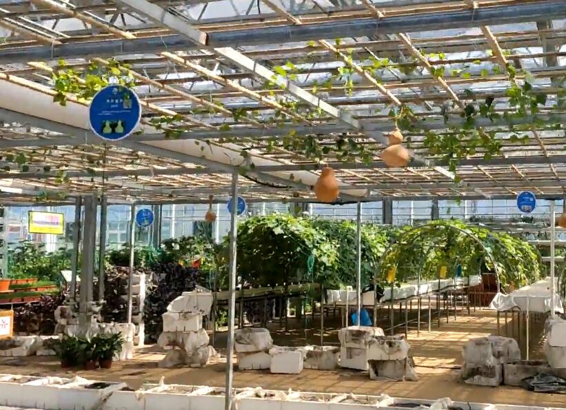 山东聊城中原现代农业嘉年华景点介绍1