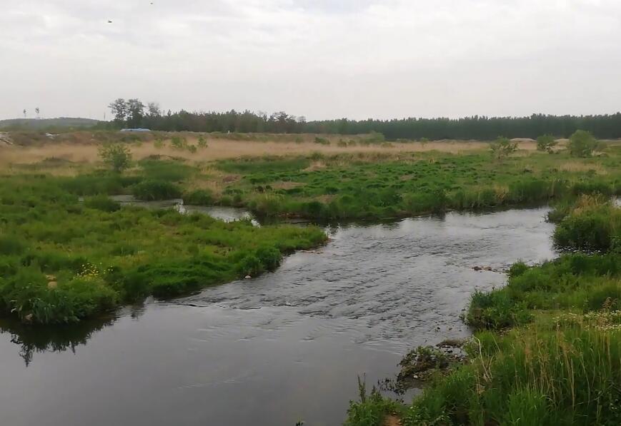 山东临沂兰陵博物馆景点介绍1