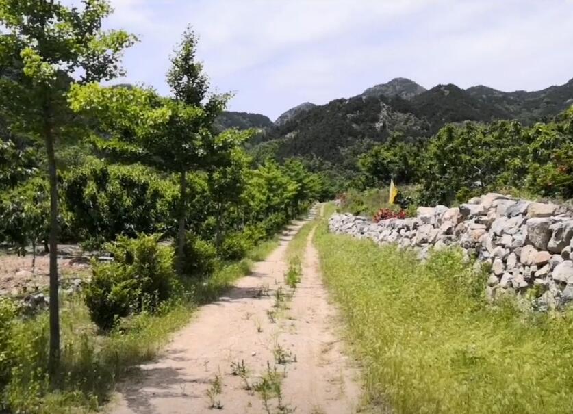 山东青岛墨禅庵景点介绍1