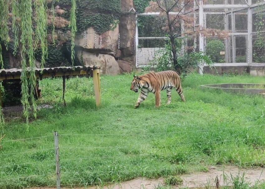 山东滨州白龙湾风景区景点介绍1