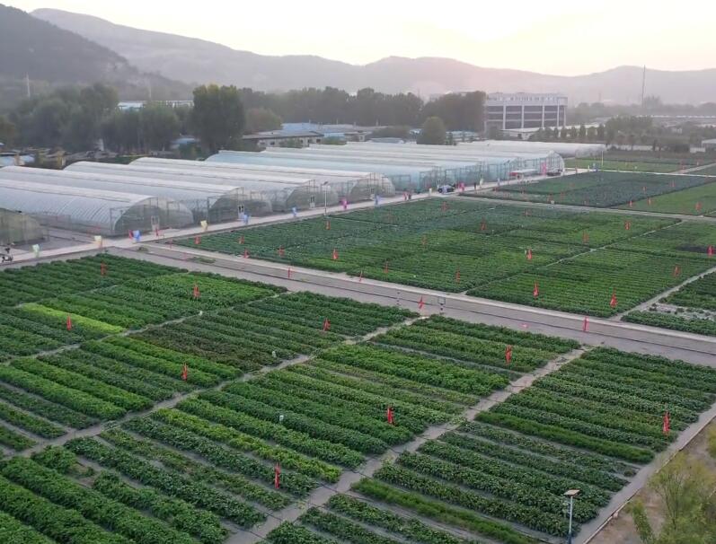 山东济南西城高科农业示范园景点介绍1