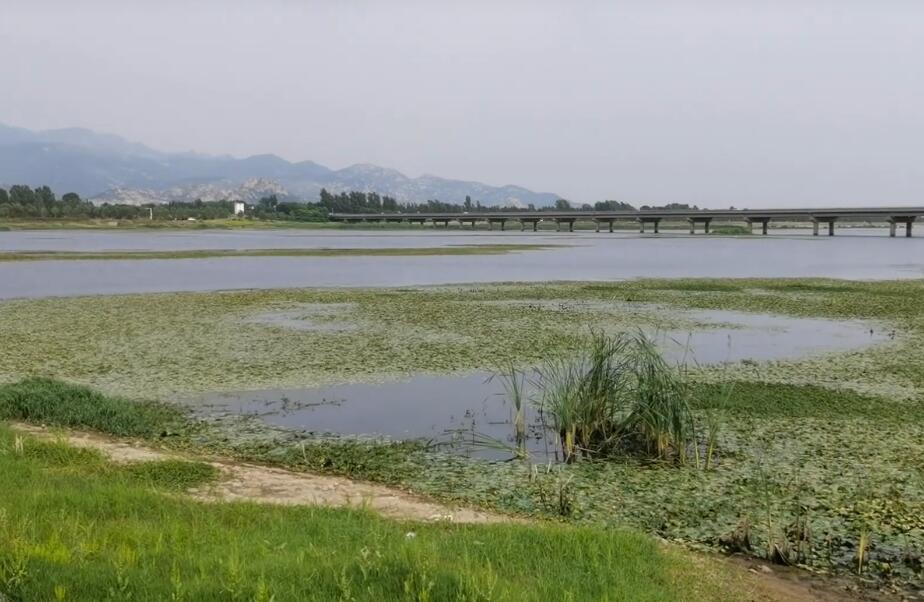 山东威海香水海海洋公园景点介绍1