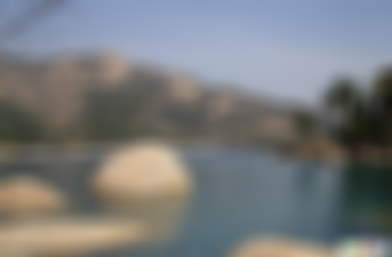 山东枣庄微山湖湿地公园(国家4A级)景点介绍1