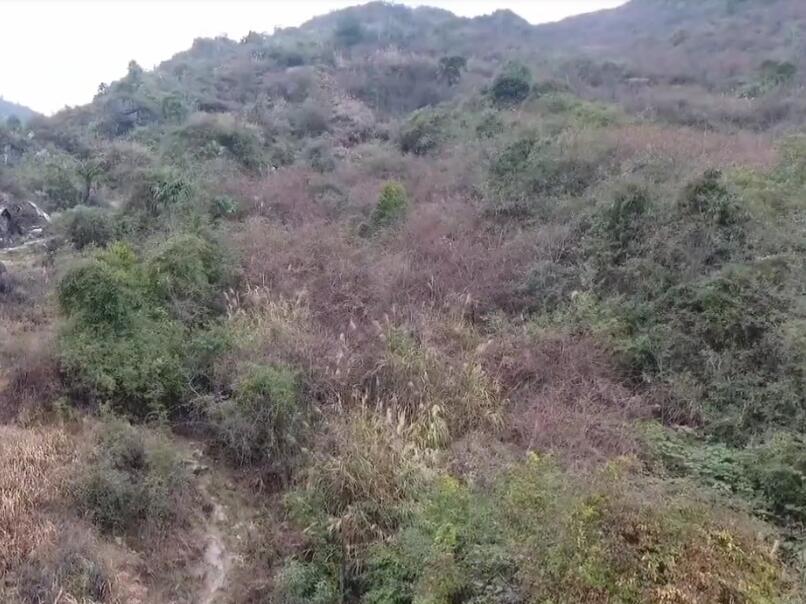 山东烟台狮子山景点介绍1