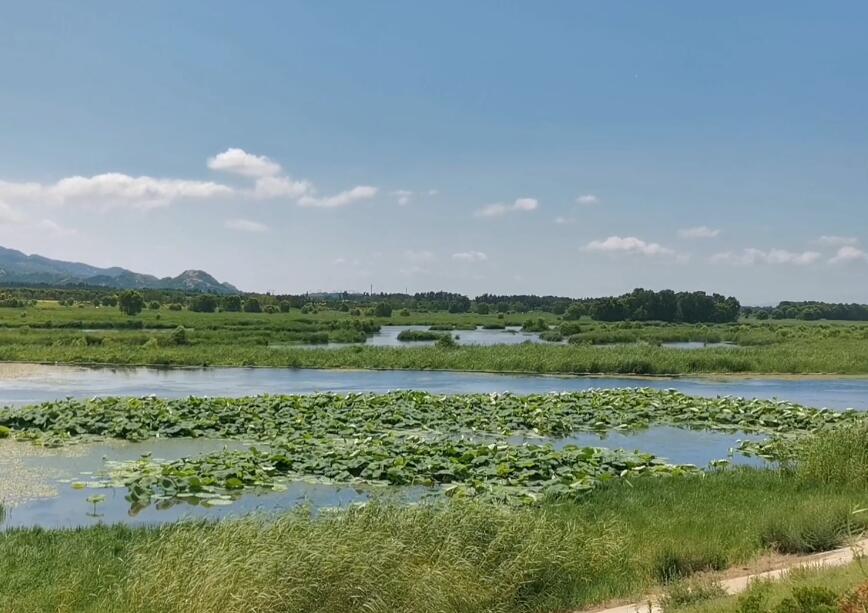 山东济宁泗水滨公园景点介绍1