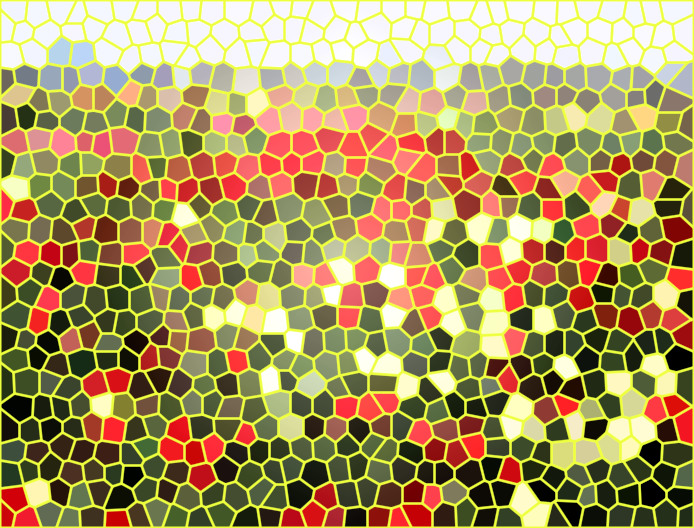 山东济南花养花玫瑰小镇景点介绍1