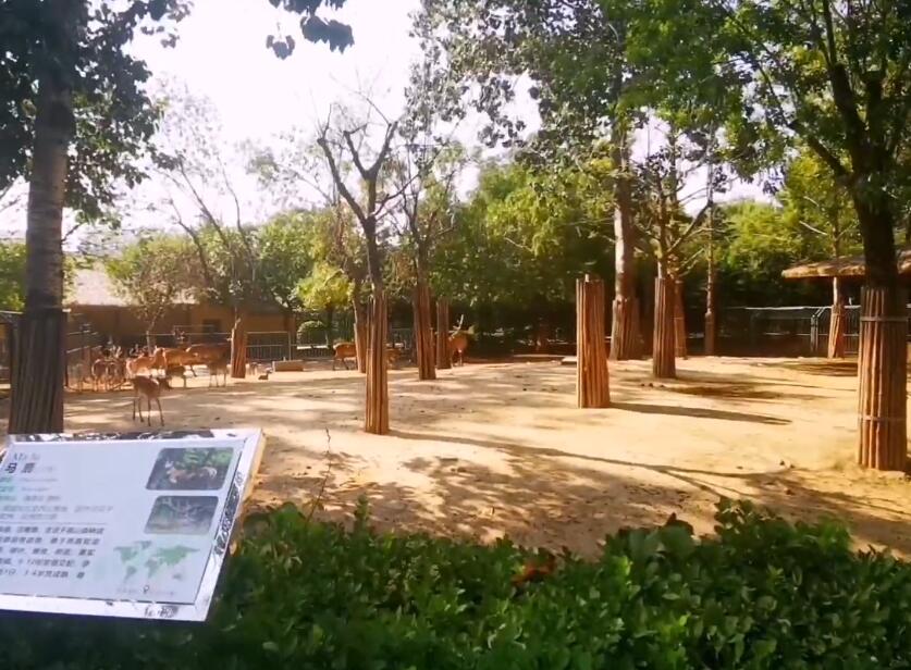 山东济南济南动物园景点介绍1