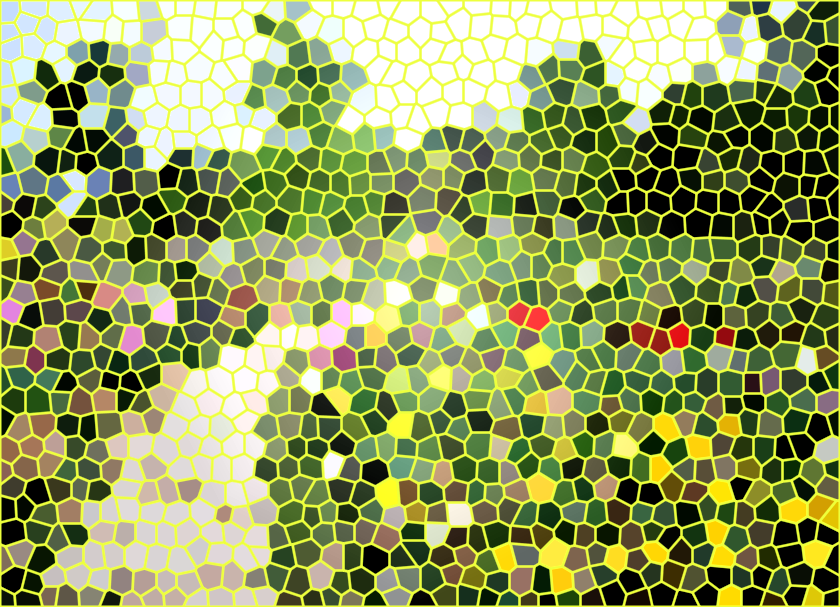 山东济南泉城花海景点介绍1