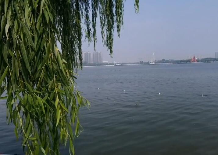 山东东营龙悦湖休闲度假区景点介绍1