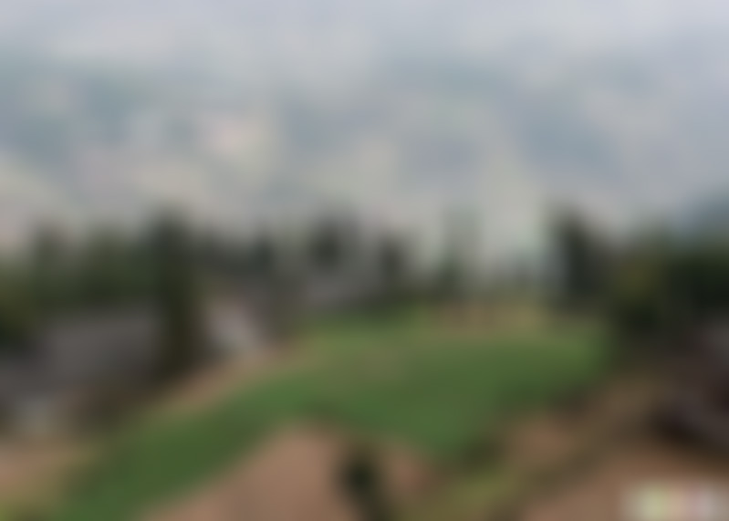 山东聊城古沙洲森林公园景点介绍1