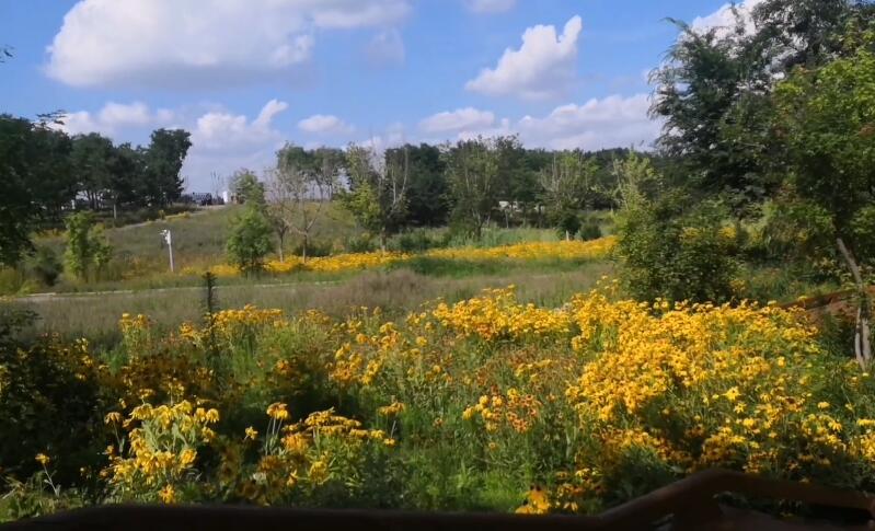 山东青岛青岛世博园植物馆景点介绍1