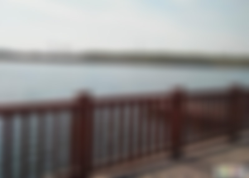 山东泰安洸河湿地公园景点介绍1