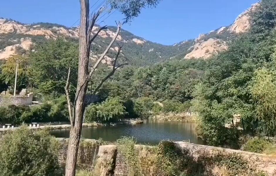 山东威海无染寺景点介绍1