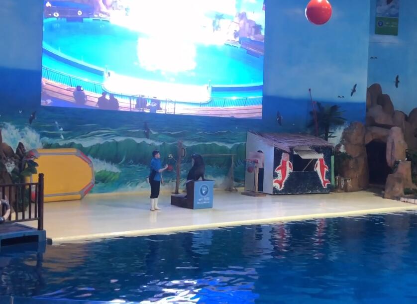 山东临沂临沂海洋世界公园景点介绍1