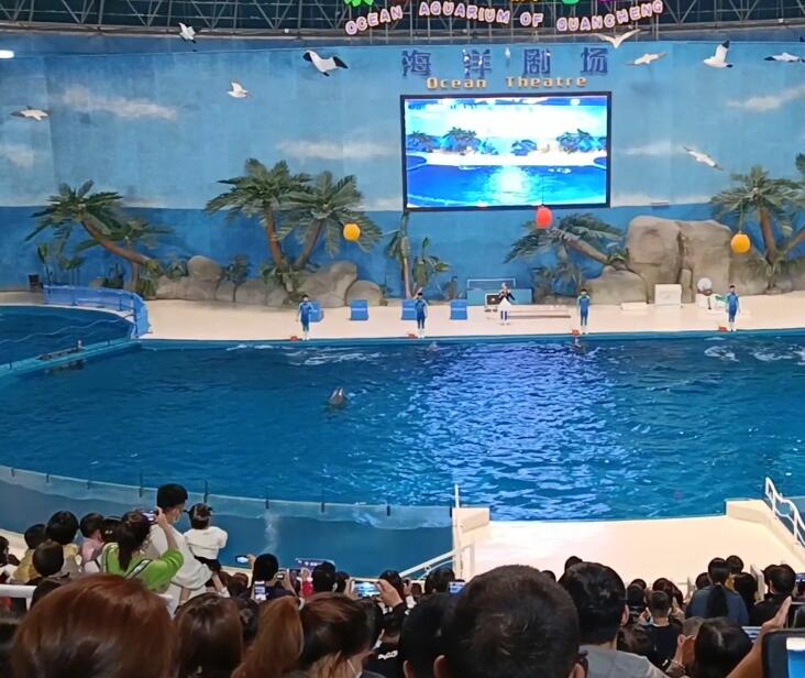 山东济南济南动物园海洋馆景点介绍1